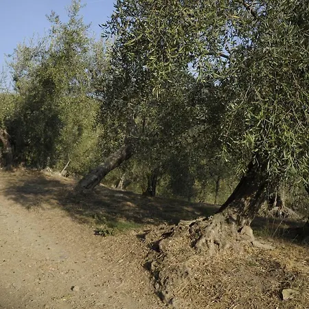 La Casa Del Cacao 3* Lecchiore