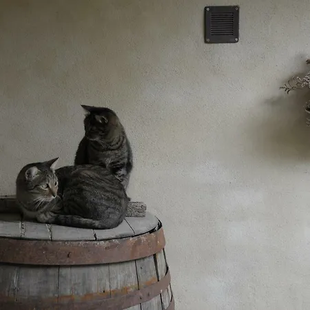 La Casa Del Cacao Panzió Lecchiore