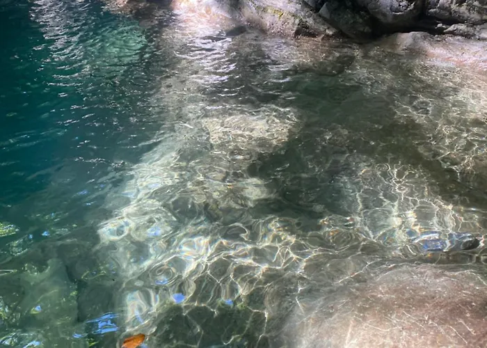 La Casa Del Cacao 3*