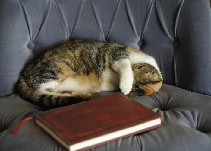 فندق مبيت وإفطار La Casa Del Cacao