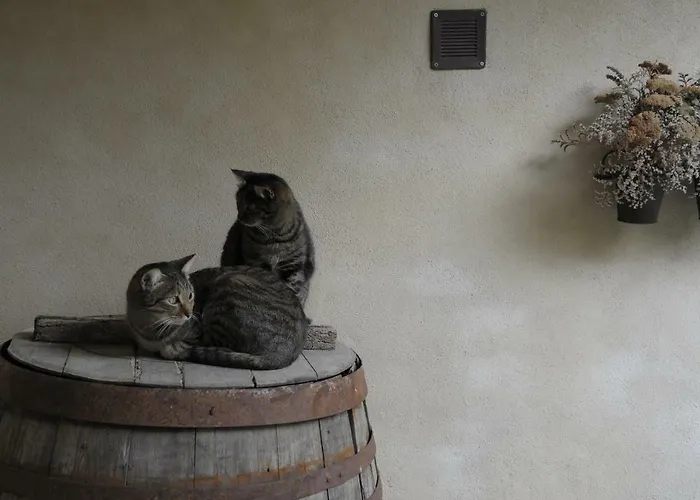 La Casa Del Cacao فندق مبيت وإفطار Lecchiore