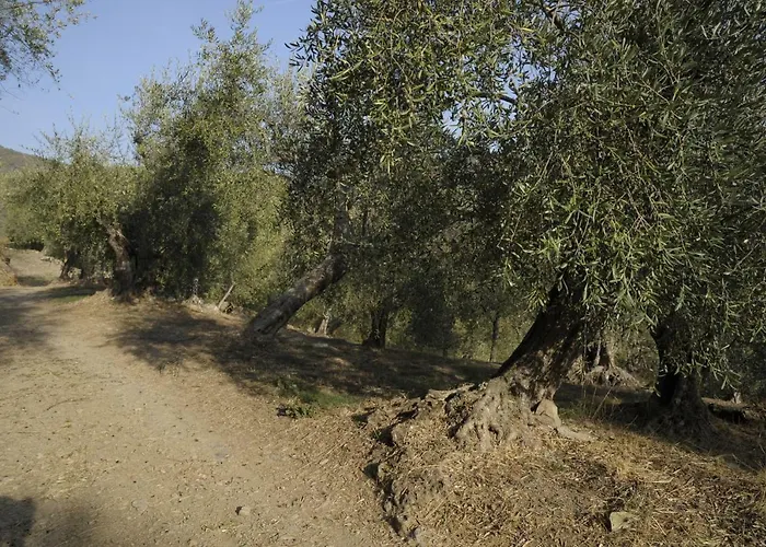 La Casa Del Cacao 3* Lecchiore